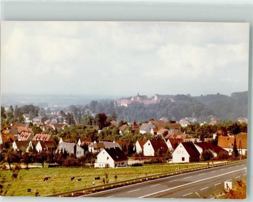 Bad Iburg Foto Original aus Archiv eines Ansichtskartenverlags Blick aufs Schloss Kühe Ort handschriftlich