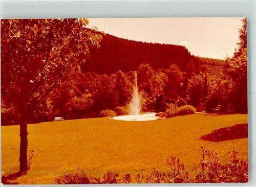 59872 W5778 Freienohl , Sauerl FOTO KEINE AK Kurpark Foto Original aus Archiv eines Ansichtskartenverlags Ort handschriftlich
