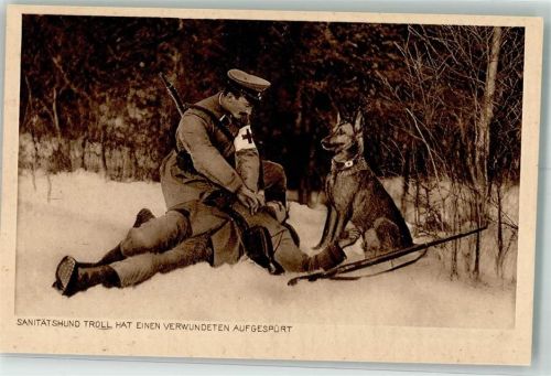 Rotes Kreuz Hund Troll Soldat