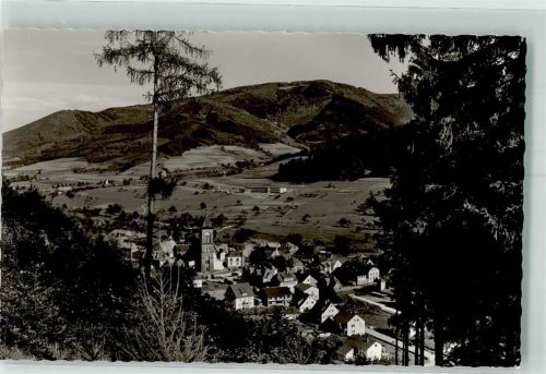 Elzach