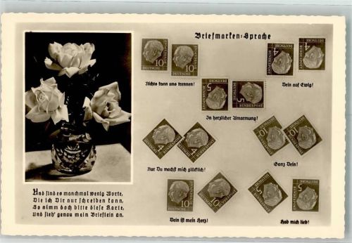 Blumen in Vase