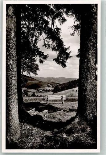 Haldenhof mit Heubronner Tal