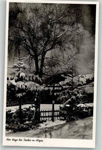 Steibis Winter