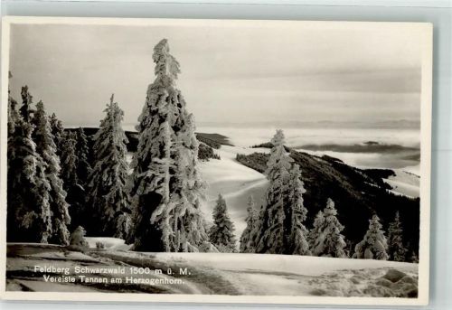 Feldberg 1926 Winter
