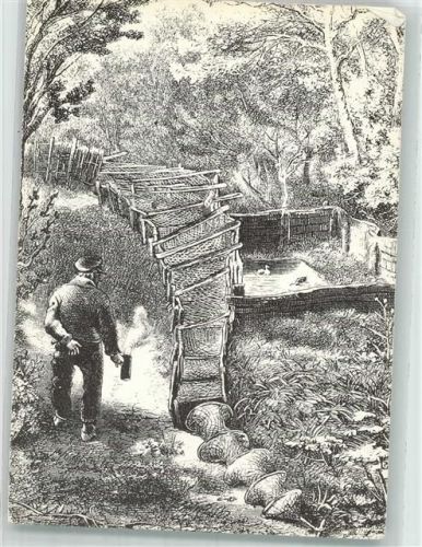 Vogelkoje Kampen um 1865 Holzschnitt v. Otto Fikentscher 1DM No 0747