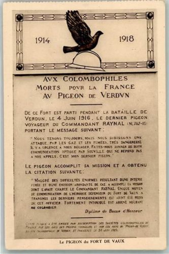 Verdun Die Taube von Fort de Vaux
