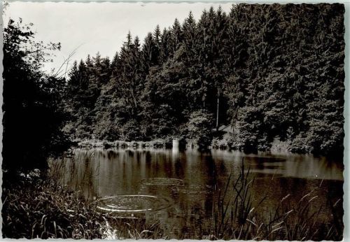 Rott Fischweiher Foto Original aus Archiv eines Ansichtskartenverlags Ort handschriftlich