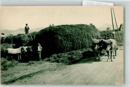 Heuernte Ochsen Baskenland MD Nr.211