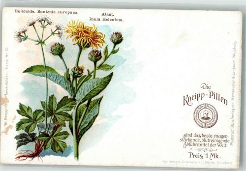Heildolde Alant Die Kneipp-Pillen Kneippsche Pflanzenbilder No. 19