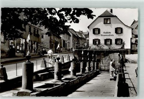 Beerfelden Gasthaus Brunnenstube Mümling-Quelle