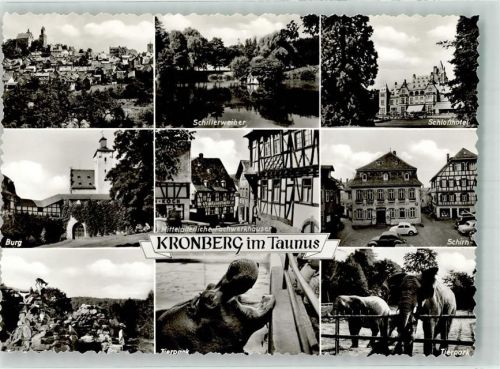 Kronberg Burg Kronberg Schillerweiher Schlosshotel Mittelalterliche Fachwerkhäuser Tierpark Elefanten Schirn