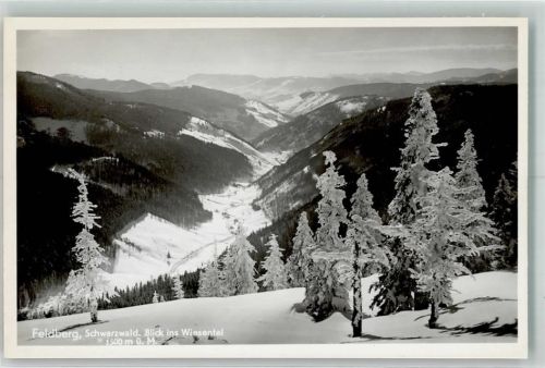 Feldberg Winter