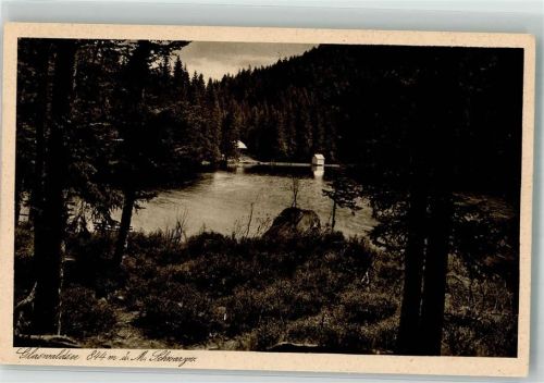 Schapbach Glaswaldsee