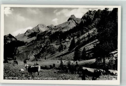 Einödsbach Rappenalpental