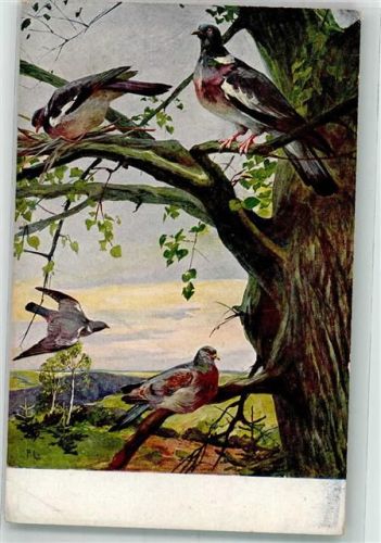 Meinholds Tierbild Nr. 116