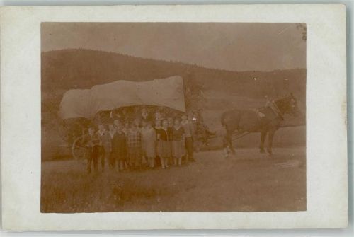 Pferd Planwagen