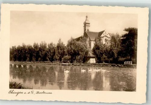 Ehingen Krockensee Schwäne