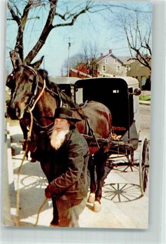 Lancaster Amish Man Pferd Buggy