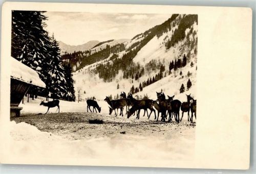 Rehe Winter Amag Nr.67587-4
