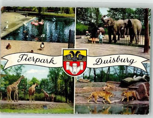 Duisburg Flamingos Enten Elefanten Tiger Giraffen Wappen Kinder Frau
