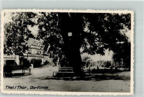 Thal Dorflinde