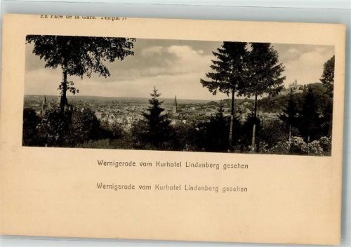Wernigerode Vom Kurhotel Lindenberg gesehen Kirche