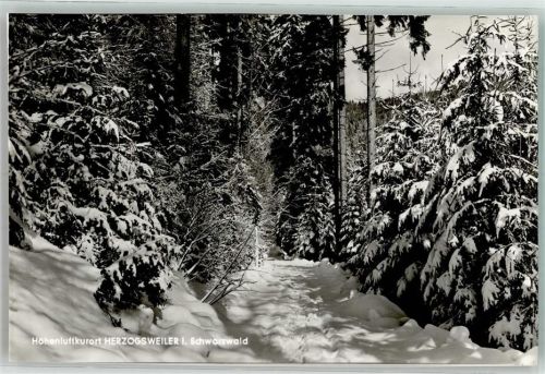 Herzogsweiler Winter