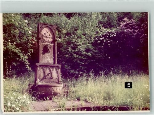 Waldleiningen Denkmal Fürstin zu Leiningen Schloss Ort handschriftlich Foto Original aus Archiv eines Ansichtskartenverlags