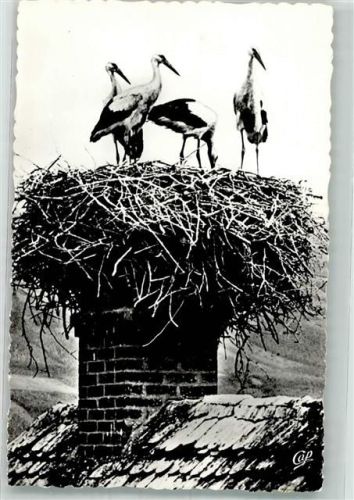 Nest auf einem Schornstein und 4 Störche Verlag C.A.P. Paris