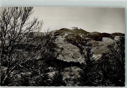 Holzinshaus mit Belchen