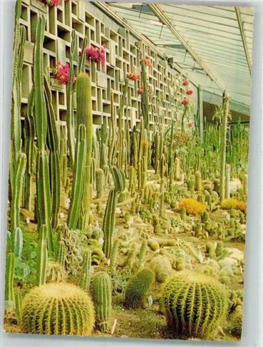Hamburg Planten un Blomen Ausstellungspark