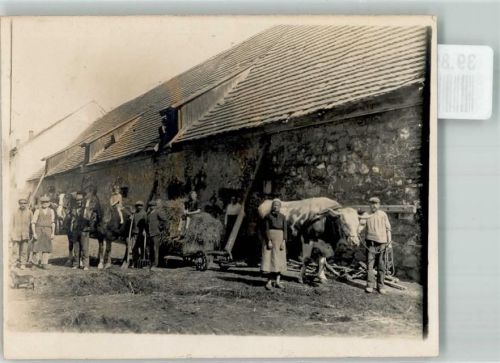 1920 - 1925 Helfer und Familie Rind Pferd