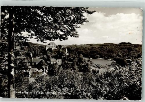 Blankenheim mit Burg Blankenheim