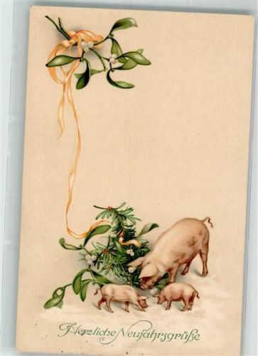 1919 Verlag M. Munk Nr. 671 Neujahr Ferkel Mistel Tannenzweig