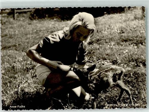 Fuchs Anne Rehkitz