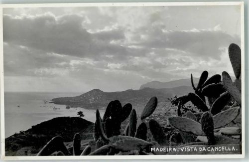 Madeira Kakteen