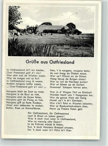 Gedicht Kühe Ostfriesland