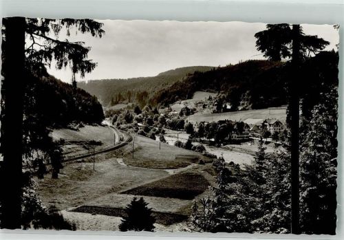 Schönmünzach