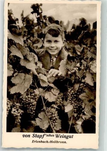 Erlenbach Von Stapf´sches Weingut Kellerei Erlenbacher Riesling Rotwein Wein Reben Junge