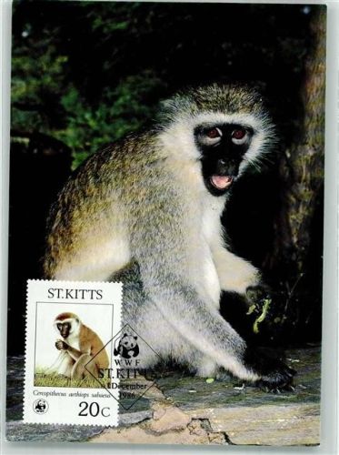Grüne Meerkatze Sondermarke