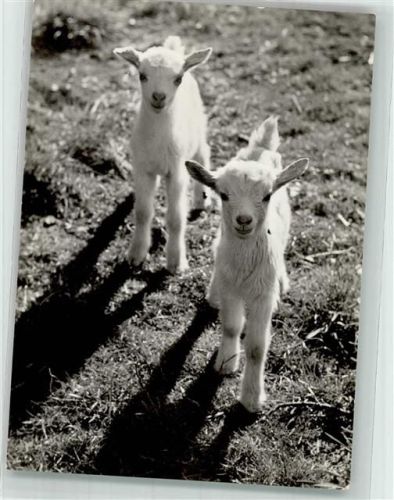 Ostern