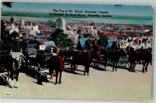 Montreal 1954 The Top of Mt.Royal Kutschen