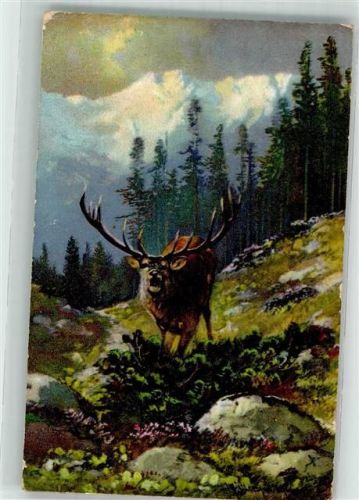 1908 Hirsch sign. Müller jun. TSN Serie 812