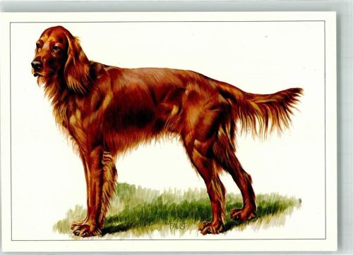 Irish Setter sign. Berth. Faust