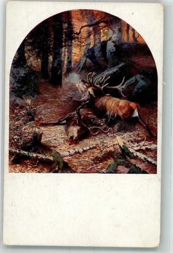 Hirsche B..K.W.I. Nr.229-6