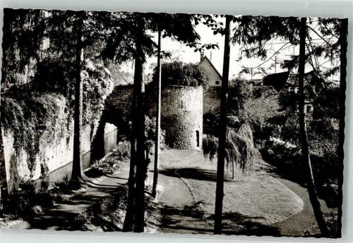 Tauberbischofsheim Stadtmauer