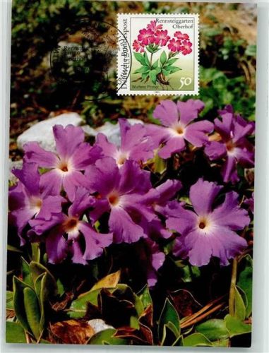 Wulfens Primel Blumen Maxiphil Bund 20/91 Philatelie Natur- und Umweltschutz Blumen Rennsteiggarten Oberhof