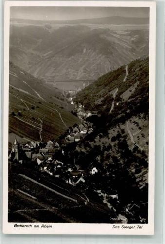 Bacharach Steeger Tal
