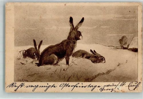 1907 Signiert D. Havby ?