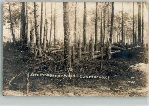 1916 Zerschossener Wald bei Czartorysk in Polen Feldpost WK I 22. Inf.-Div.